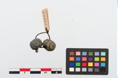 Foto von Glasaugenperle (NHMW-PRAE-024345)